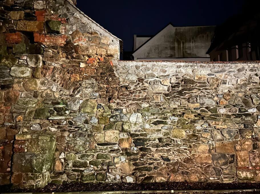 Fewos Anno 1529 In Top-Altstadtlage Von Zittau Dış mekan fotoğraf