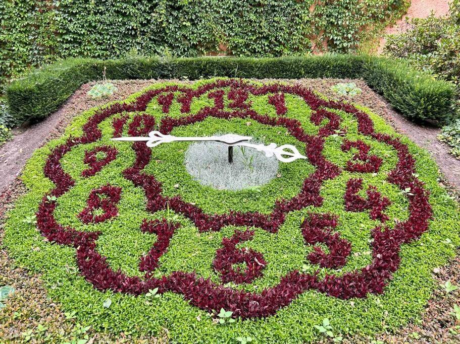 Fewos Anno 1529 In Top-Altstadtlage Von Zittau Dış mekan fotoğraf